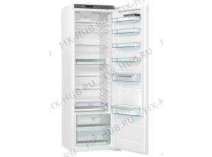 Холодильник Gorenje RI5182A1 (729683, HI3188RFF) - Фото